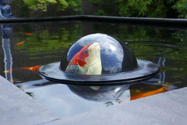 Floating Fish Dome Medium