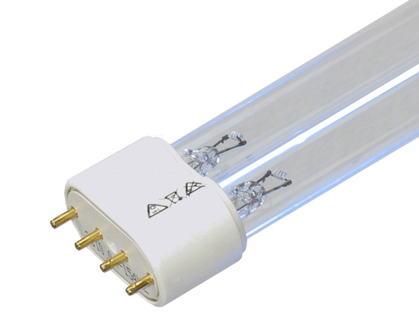 Lampe UV PL Philips 24W 32cm - Koifarm Webshop