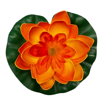 SF Pond Deco Lelie orange