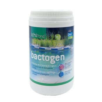 Bactogen 24m³ | 650g pour 24.000L