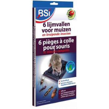 BSI 6 pièges à colle pour souris et insectes rampants