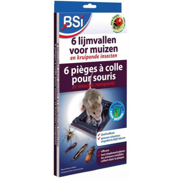 BSI 6 lijmvallen voor muizen en kruipende insecten