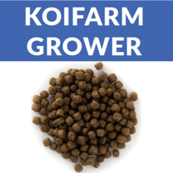 Koifarm Premium Grower