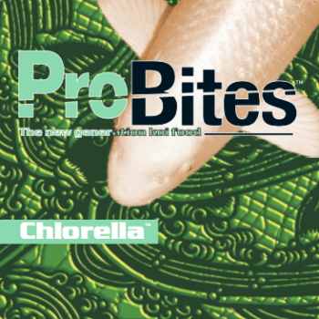 ProBites Chlorella 3kg