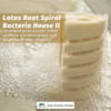 Lotus Root Bacteria House II | 24pcs. 16,5x4cm