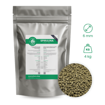 Koifarm Spirulina | 6 mm - 4 kg
