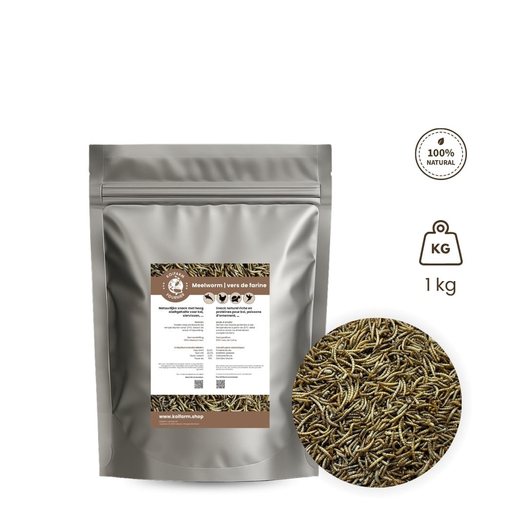 Koifarm Mehlwürmer 500g