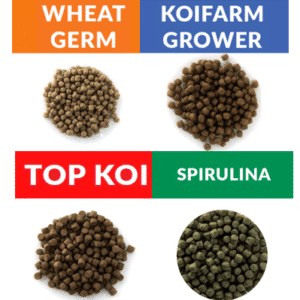 Koifarm Food, grower, top koi, spirulina en wheat germ