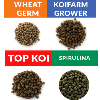 Koifarm Grower - Top Koi - Spirulina - Wheat germ