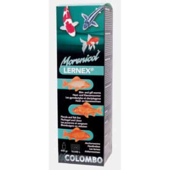 Colombo Morenicol Lernex 200g pour 5000L - date 12-2023