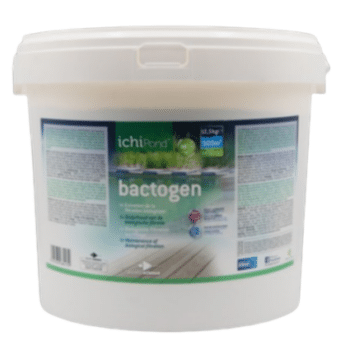 Bactogen 500m³ | 12,5kg pour 500.000L