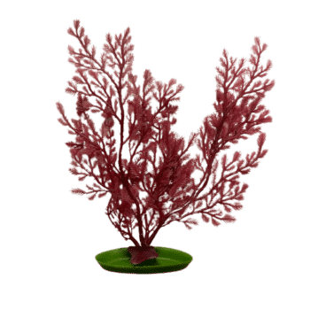 Plante artificielle pour aquarium 17cm 'Crimson Lace'