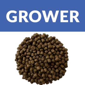 Koifarm Premium Grower