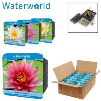Waterplanten - droogverpakking