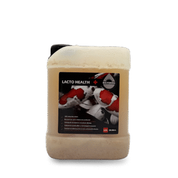 Bactoking Lacto Health | 2,5 L - 50.000 L