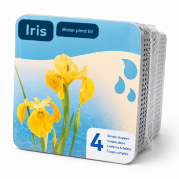 Water Plant Kit - Droogverpakking waterplant gele iris