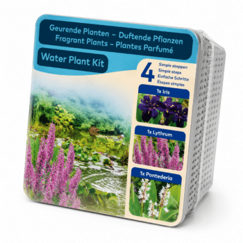 Water Plant Kit - Droogverpakking - thema Geurend