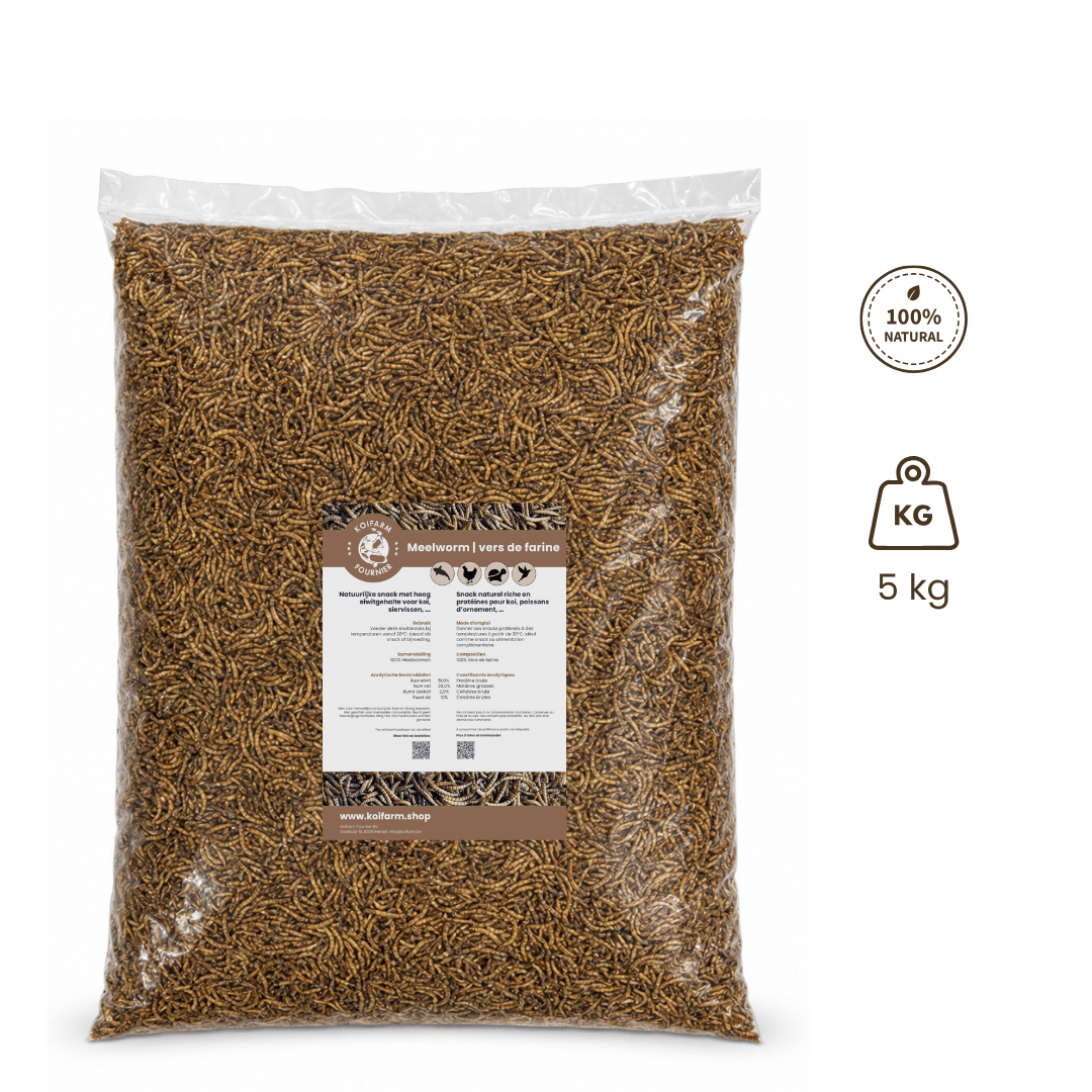 Koifarm Mehlwürmer 5kg