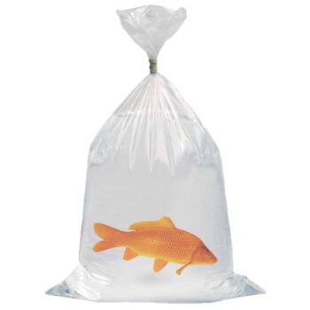 Sac de transport pour poissons 40 x 60 cm, 100 pièces