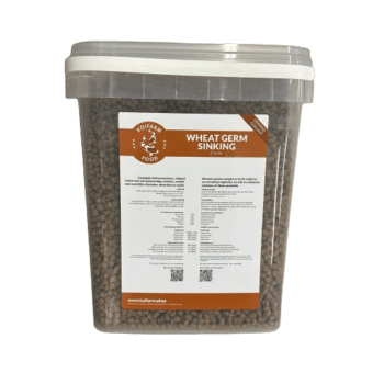 Koifarm Wheat Germ Sinking Eimer 6kg - sinkendes Winterfutter