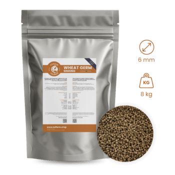 Koifarm Wheat Germ Sinking | 6 mm - 8 kg