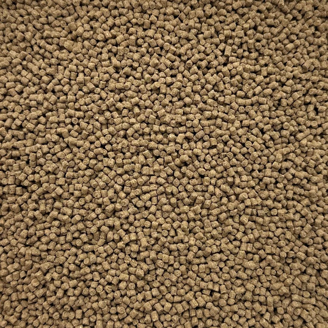Koifarm Wheat Germ Sinking | 3 mm - 2 kg