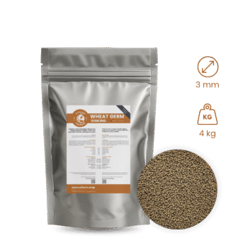 Koifarm Wheat Germ Sinking | 3 mm - 4 kg