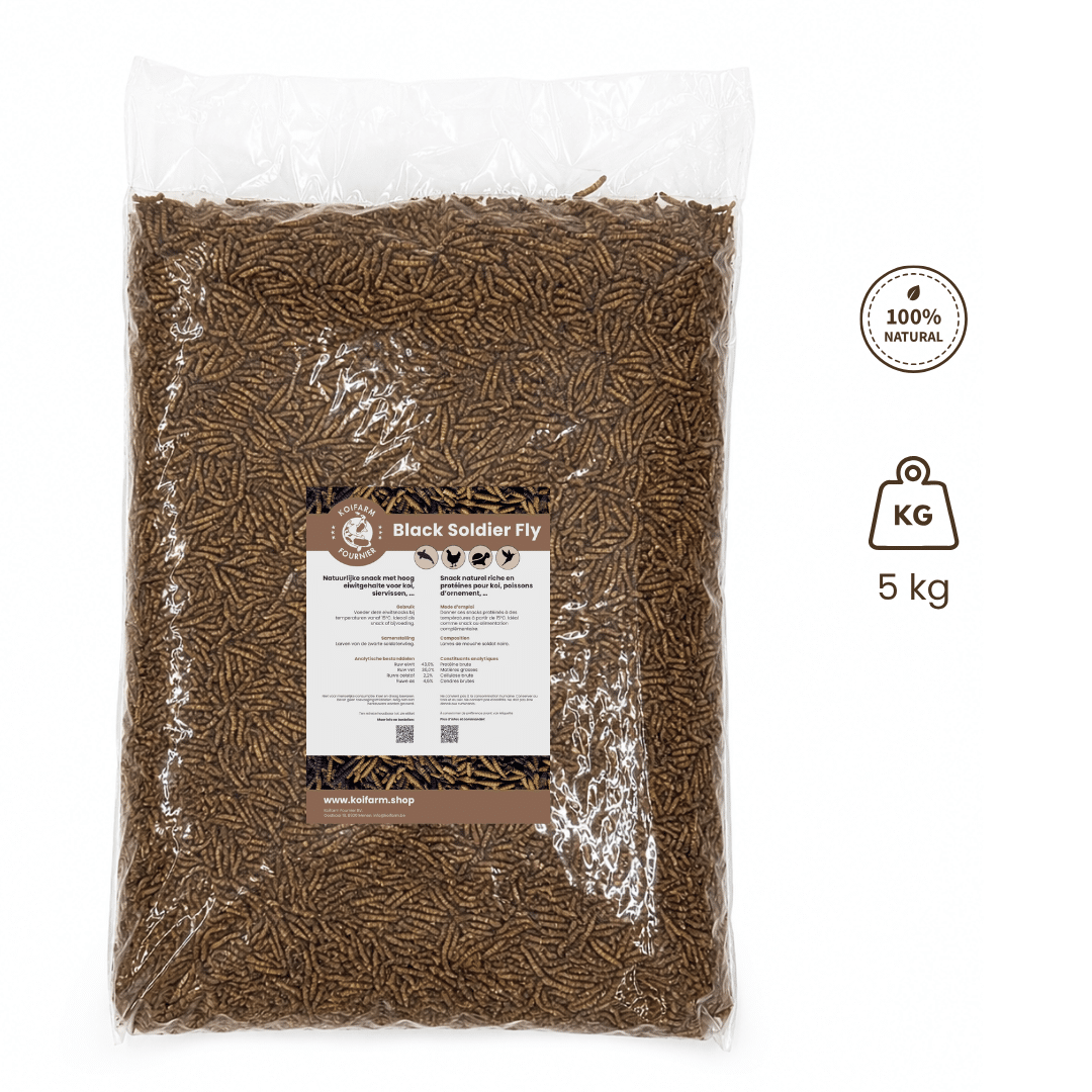 Black soldier fly larvae - BSF Larven 5 kg