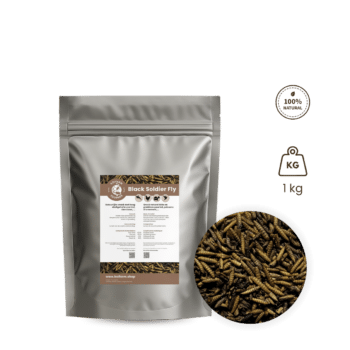 Black soldier fly larvae - BSF larves 500 g
