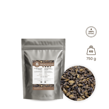 Black soldier fly larvae - BSF larves 500 g