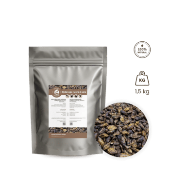 Black soldier fly larvae - BSF larves 500 g
