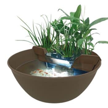 Mini Pond en Medaka accessoires