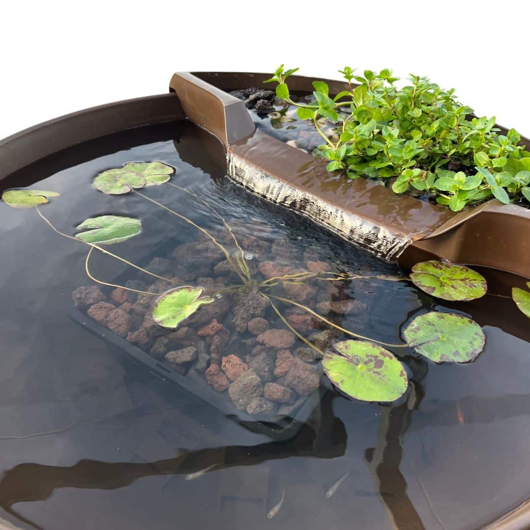 Mini Pond - brun Terra Mini Pond - brun Terra