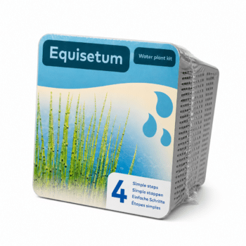 Waterplant kit - Droogverpakking - blauwe Iris