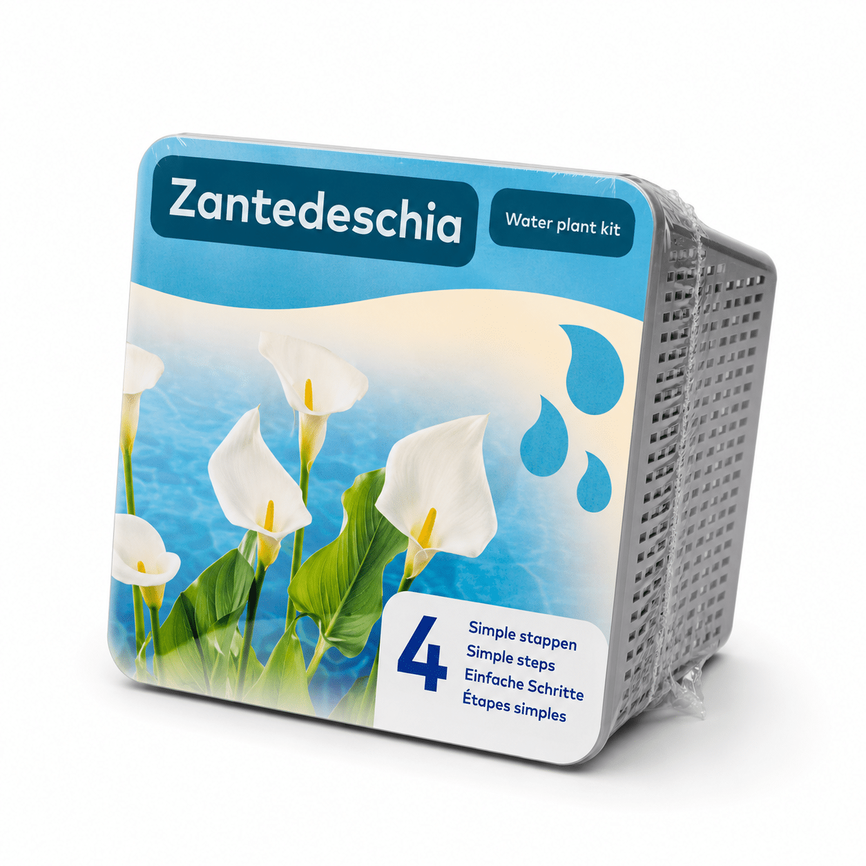 Water Plant Kit - Emballage sec - Zantedeschia Water Plant Kit - Emballage sec - Zantedeschia