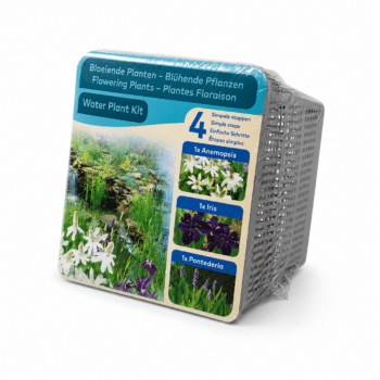 Water Plant Kit - Droogverpakking - thema bloeiend